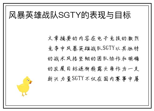风暴英雄战队SGTY的表现与目标