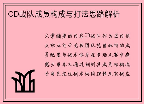 CD战队成员构成与打法思路解析